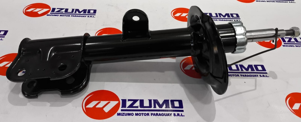 AMORTIGUADOR DEL RH (GAS)