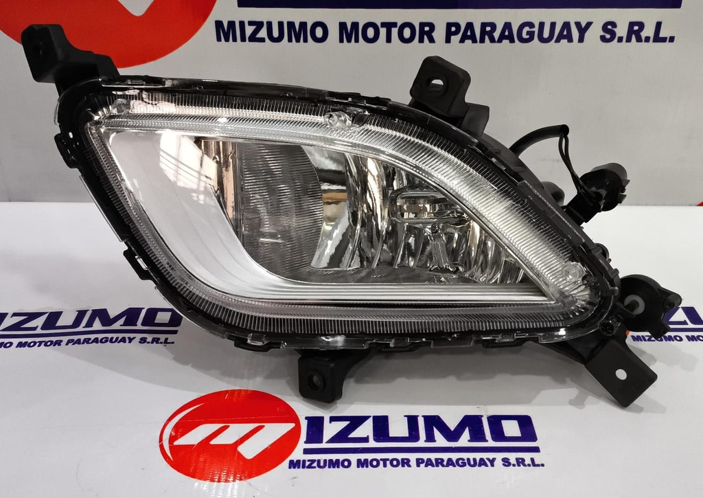 FARO BUSCAHUELLA LH