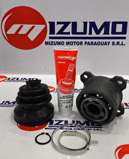 HOMOCINETICA INT 33D