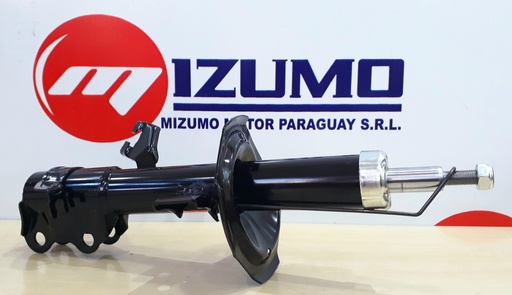 AMORTIGUADOR DEL RH (GAS)