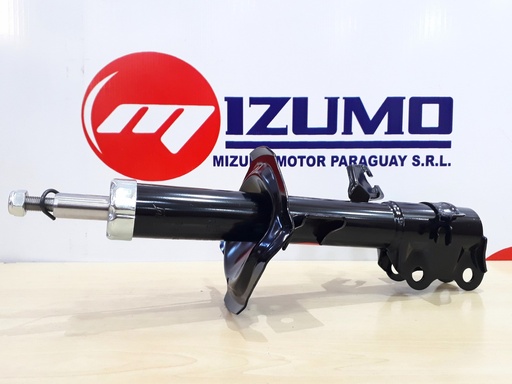 AMORTIGUADOR DEL LH (GAS)